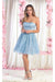 Quince Dama Dresses - Short Quinceanera Dresses in Color Baby Blue