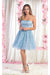 Quince Dama Dresses - Short Quinceanera Dresses in Color Baby Blue