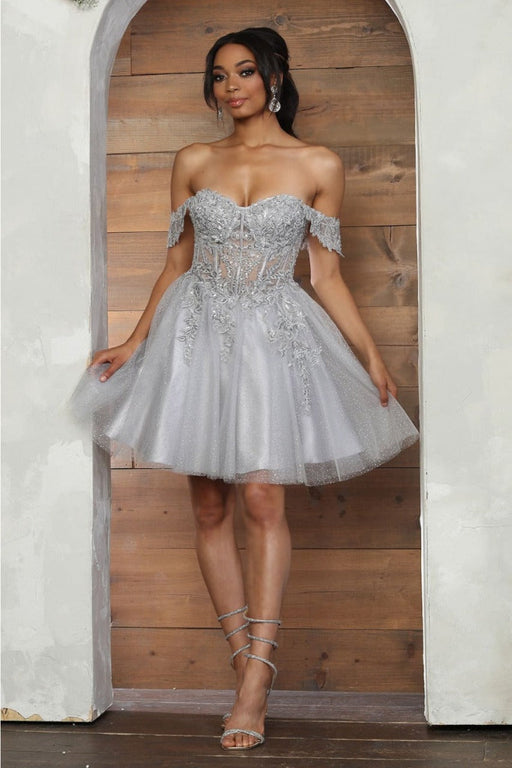 Quince Dama Dresses - Short Quinceanera Dresses in Color Silver