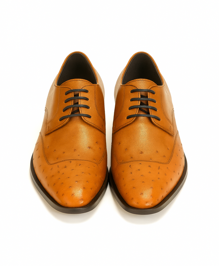 Mens Ostrich Skin Shoes Men's Full Leather Cognac Vestigium Genuine Ostrich Derby Shoes Handcrafted