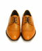 Mens Ostrich Skin Shoes Men's Full Leather Cognac Vestigium Genuine Ostrich Derby Shoes Handcrafted