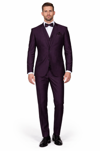 Men'S Plum ~ Eggplant ~ Very Dark Purple No Vest Suit
