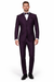 Men'S Plum ~ Eggplant ~ Very Dark Purple No Vest Suit