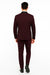 Men's Purple - Plum - Eggplant Jacket and Pants Two Button Shawl Lapel Tuxedo