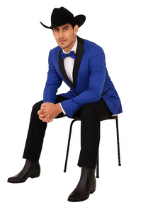 Men's Satin Shawl Lapel Blue 2 Buttons Floral Slim Fit Blazer Sport coat Paisley Royal Blue Tuxedo