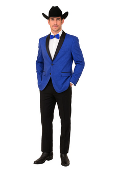 Men's Satin Shawl Lapel Blue 2 Buttons Floral Slim Fit Blazer Sport coat Paisley Royal Blue Tuxedo - Image 7