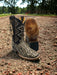 Botas de Anguila Original para Dama en Horma Punta Recortada LAB