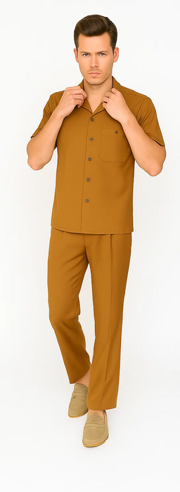 Mens Walking Suit in Color caramel  leisure suit causal Matching Shirt and Pants $99