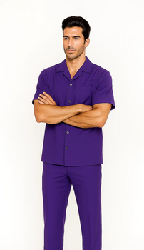 Mens Walking Suit in Color purple leisure suit causal Matching Shirt and Pants $99