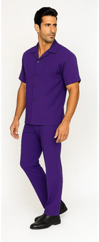 Mens Walking Suit in Color purple leisure suit causal Matching Shirt and Pants $99