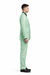 Men's green suit