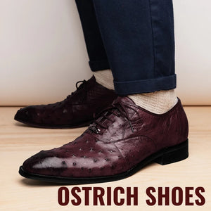 Ostrich Shoes
