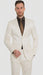 Shiny Sharkskin Metallic 2 Button Suits Off-White