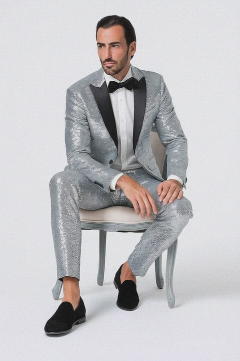 Silver Grey Shiny Suit 