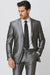 Shiny 2 Button Silver Grey ~ Gray Flashy Sharkskin Men'S Cheap Priced Business Suits Clearance Sale