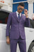 Stacy Adams Mens Windowpane Suit Purple
