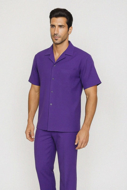 Mens Walking Suit in Color purple leisure suit causal Matching Shirt and Pants $99