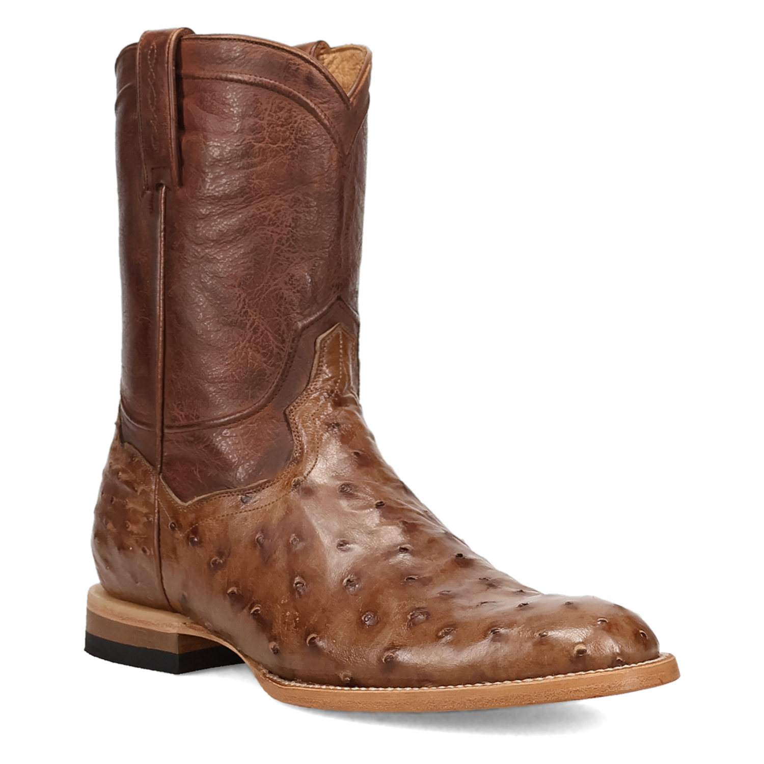 Dan Post Ardor Ostrich Boot - Full Quill Leather