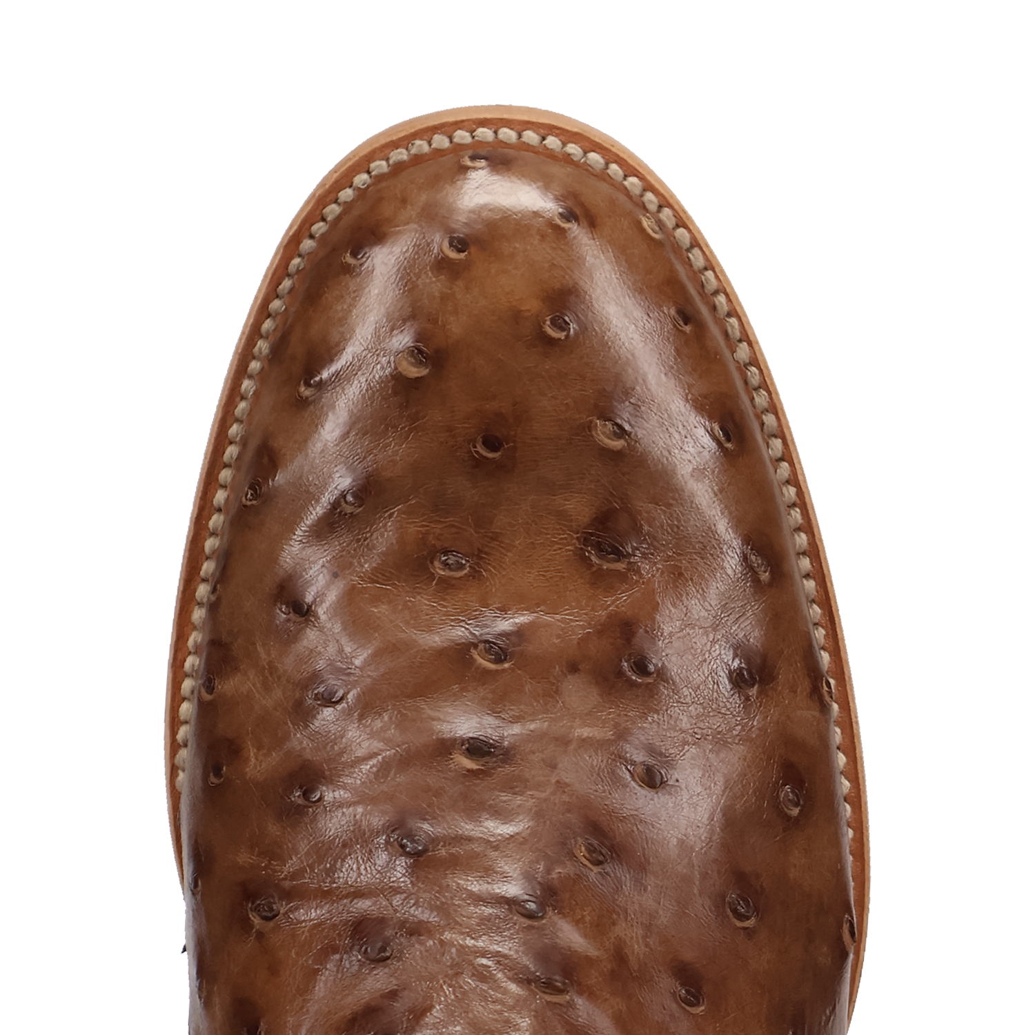 Dan Post Ardor Ostrich Boot - Full Quill Leather