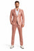Rose Gold Suit - Light Pink Shiy Suit