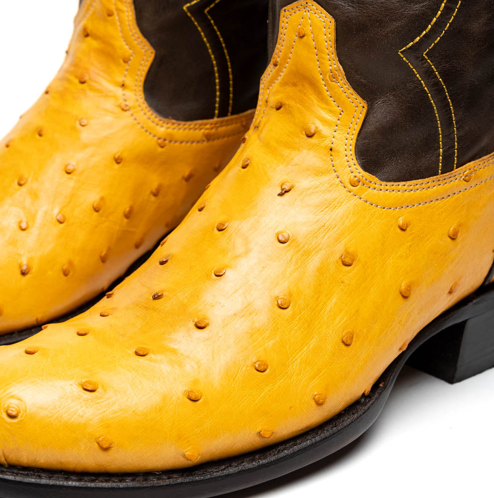Marco Di Milano Savannah Buttercup Ostrich Quill Round Toe Cowboy Boots - Image 4