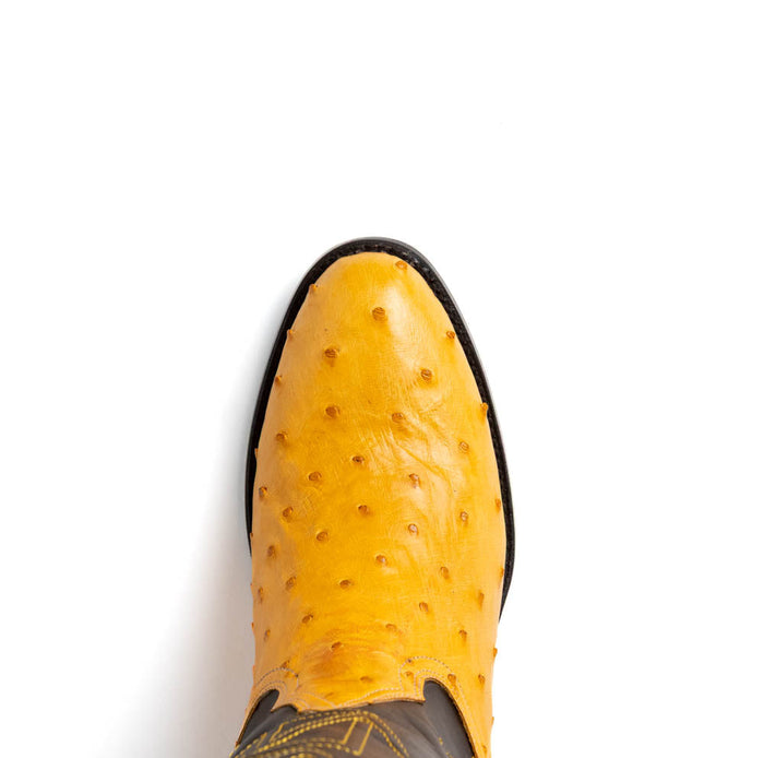 Marco Di Milano Savannah Buttercup Ostrich Quill Round Toe Cowboy Boots - Image 5