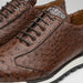 Marco Di Milano Scanno Antique Brown Ostrich Quill Sneakers