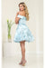 Quince Dama Dresses - Short Quinceanera Dresses in Color Baby Blue