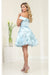 Quince Dama Dresses - Short Quinceanera Dresses in Color Baby Blue