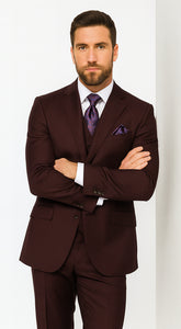 Solid Plum Eggplant Very Dark Purple