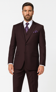 Solid Plum Eggplant Very Dark Purple