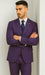 Stacy Adams Mens Windowpane Suit Purple