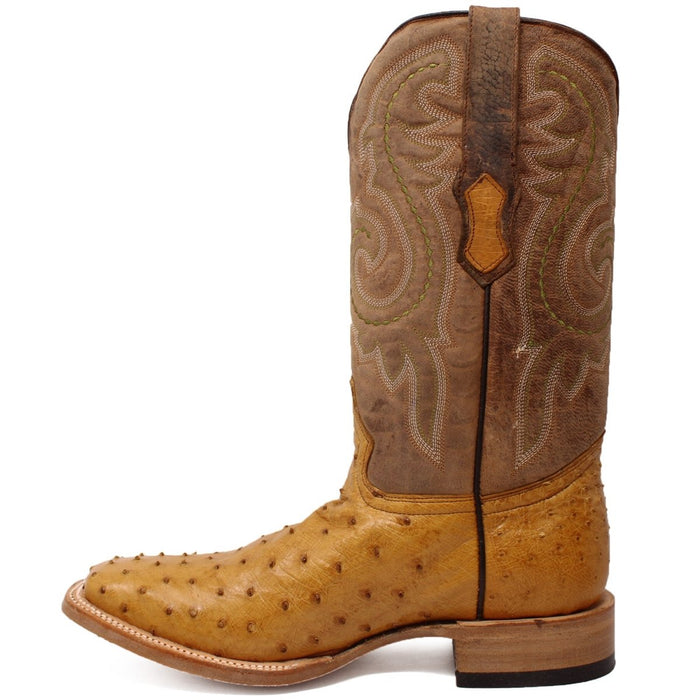 Botas Altas de Cuero Original para Mujer Color Hueso - Image 4