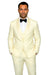 Mens Wool One Button Modern Fit Vested Shawl Prom Tuxedo in Ivory