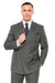 Gomez Addams Pinstripe Suit for Every Occasion