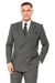 Gomez Addams Pinstripe Suit for Every Occasion
