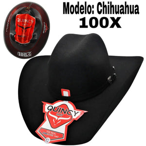 Texana Horma Chihuahua for Every Occasion