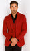 Velvet Paisley Blazer - Comes With Free Vest and Pants - Slim Fit - Red Chirstmad New Year Holiday Suit
