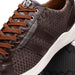 Marco Di Milano Verona Brown Python & Calfskin Sneakers
