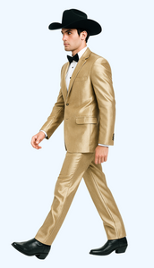 Western Shiny Suits For Wedding - Two Button Tuxedo - Traje Para Hombre