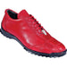 Zapato Casual Ave Pata  LAB-ZC0919