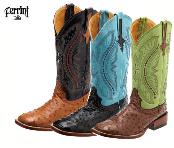 Ferrini boots