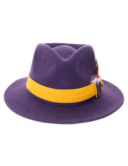 Mens Hat in Purple and Gold