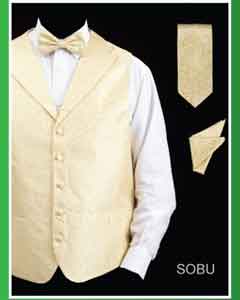  Mens 4 Piece Groomsmen DRESS TUXEDO WEDDING Vest ~ Waistcoat ~ Waist