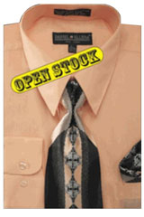 SKU#BS121 Men's Basic Dress Shirt with Tie and Hanky Set
