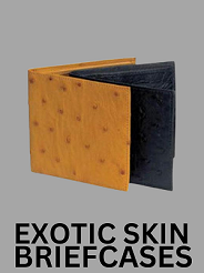 EXOTIC SKIN BRIEFCASES